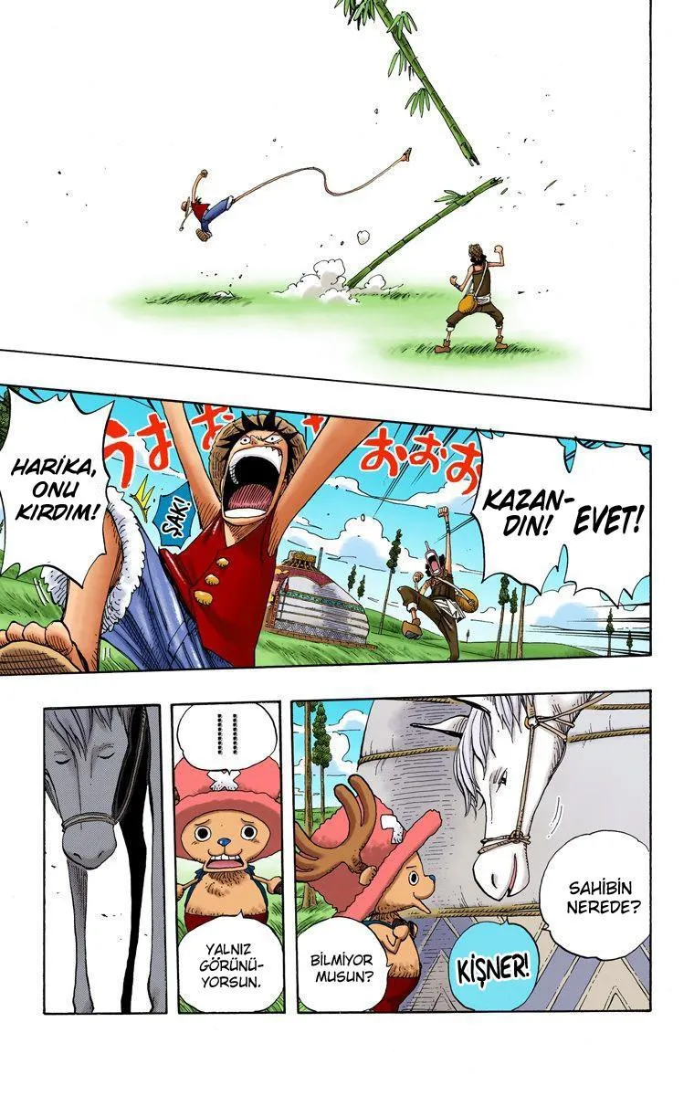 One Piece [Renkli] - Sayfa 16