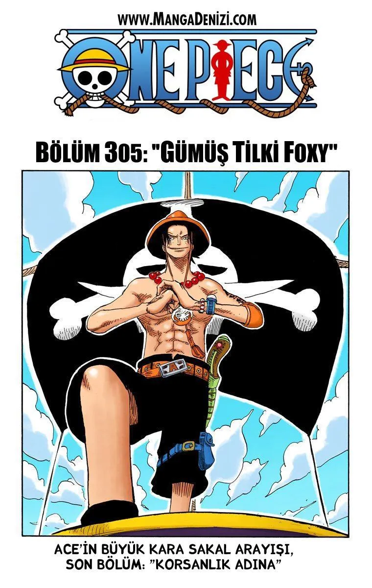 One Piece [Renkli] - Sayfa 2