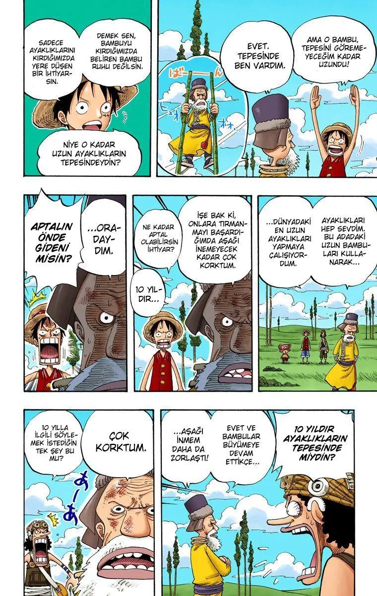 One Piece [Renkli] - Sayfa 5