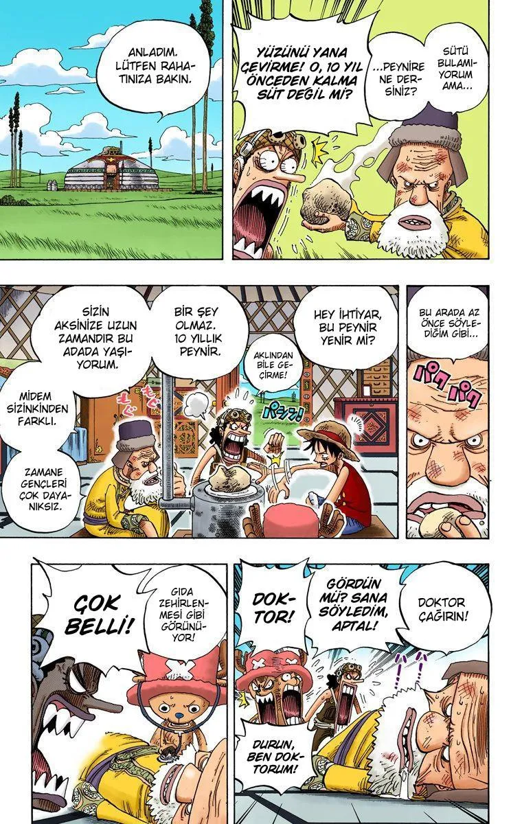 One Piece [Renkli] - Sayfa 8