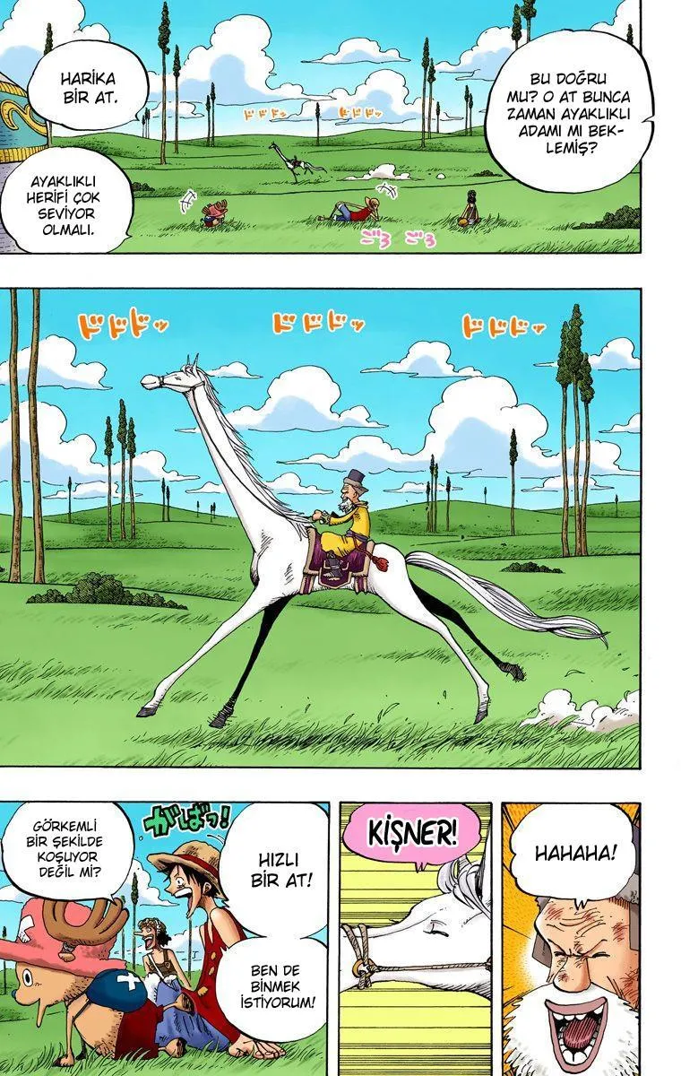 One Piece [Renkli] - Sayfa 12