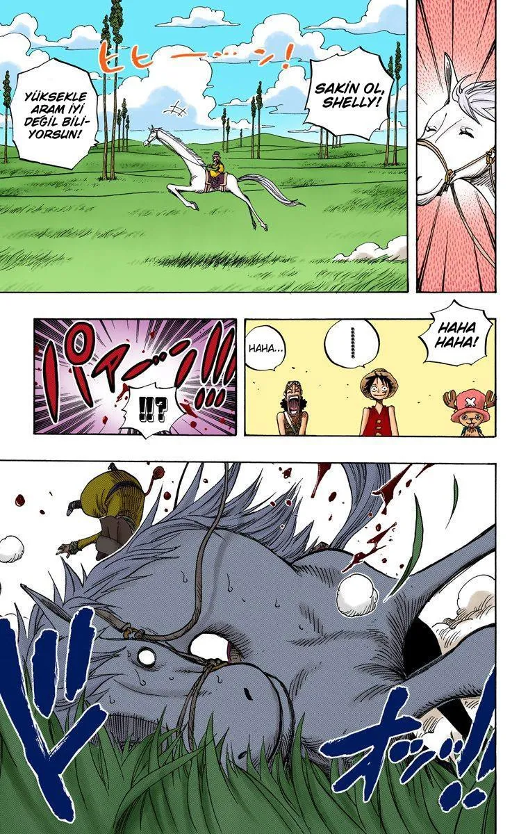 One Piece [Renkli] - Sayfa 14