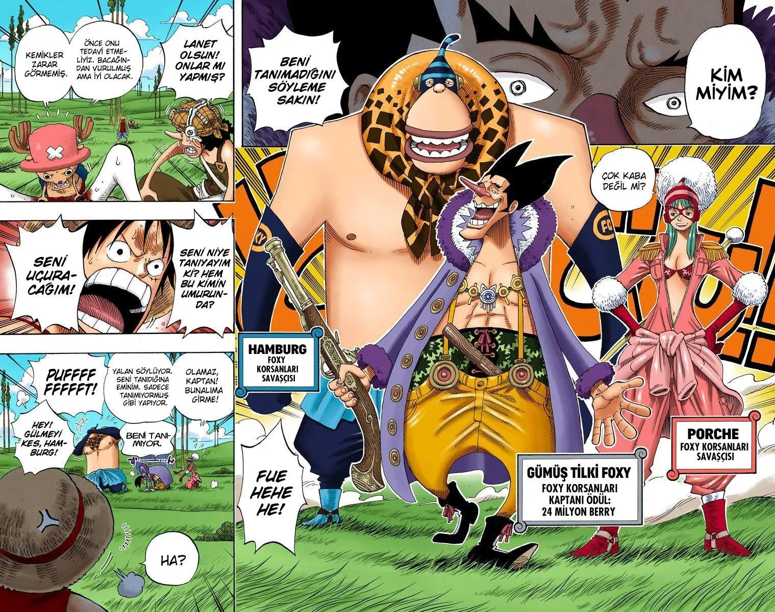 One Piece [Renkli] - Sayfa 17