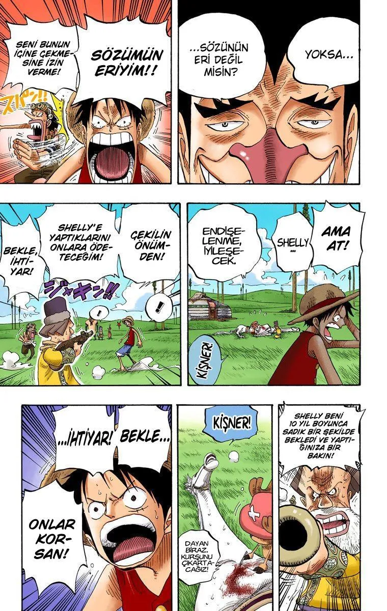 One Piece [Renkli] - Sayfa 4