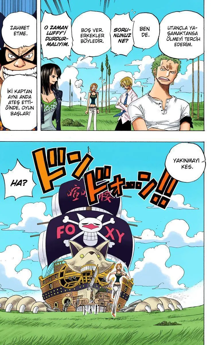 One Piece [Renkli] - Sayfa 10