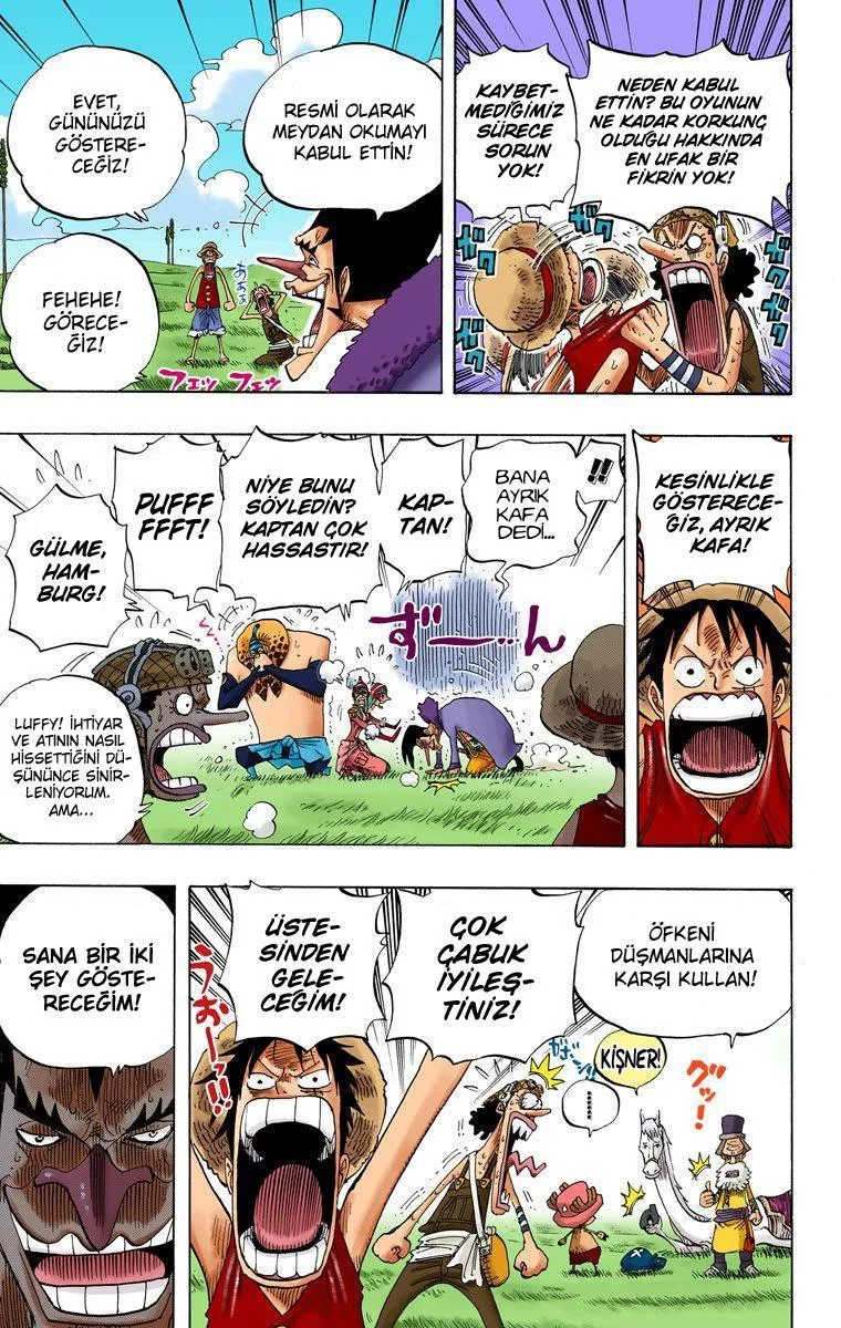 One Piece [Renkli] - Sayfa 12