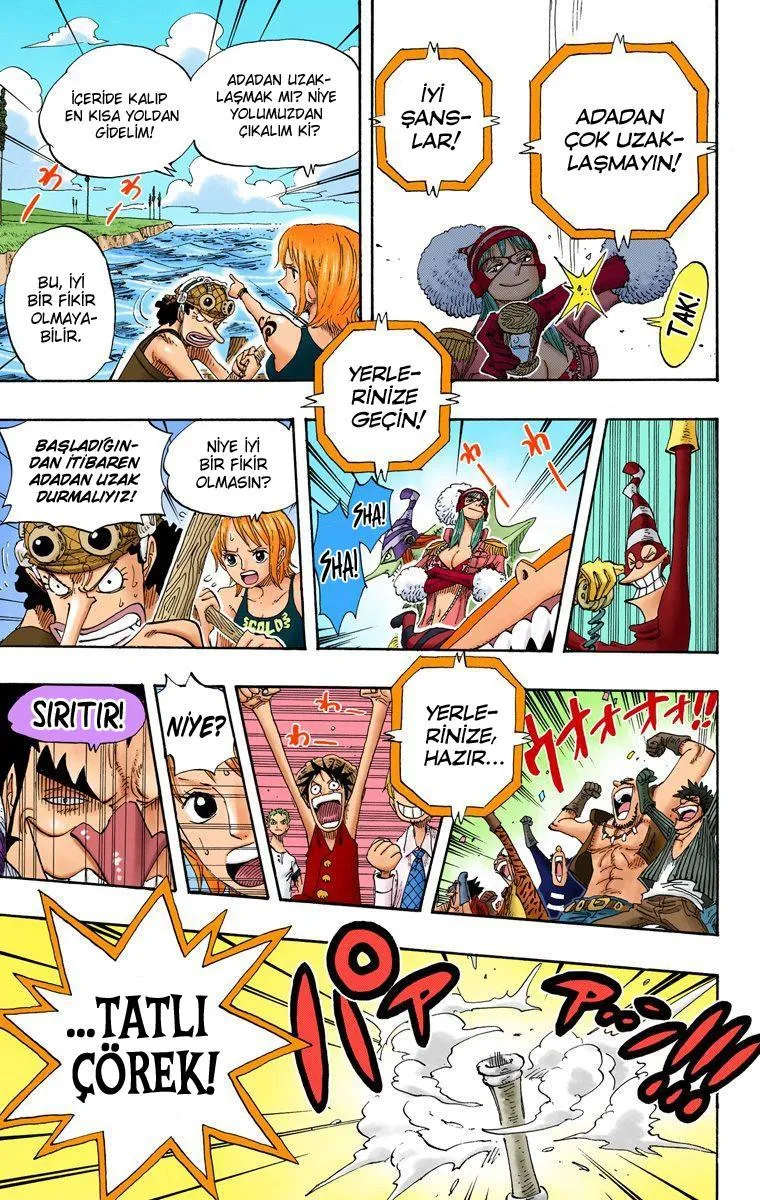 One Piece [Renkli] - Sayfa 6