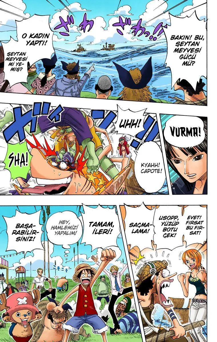 One Piece [Renkli] - Sayfa 12