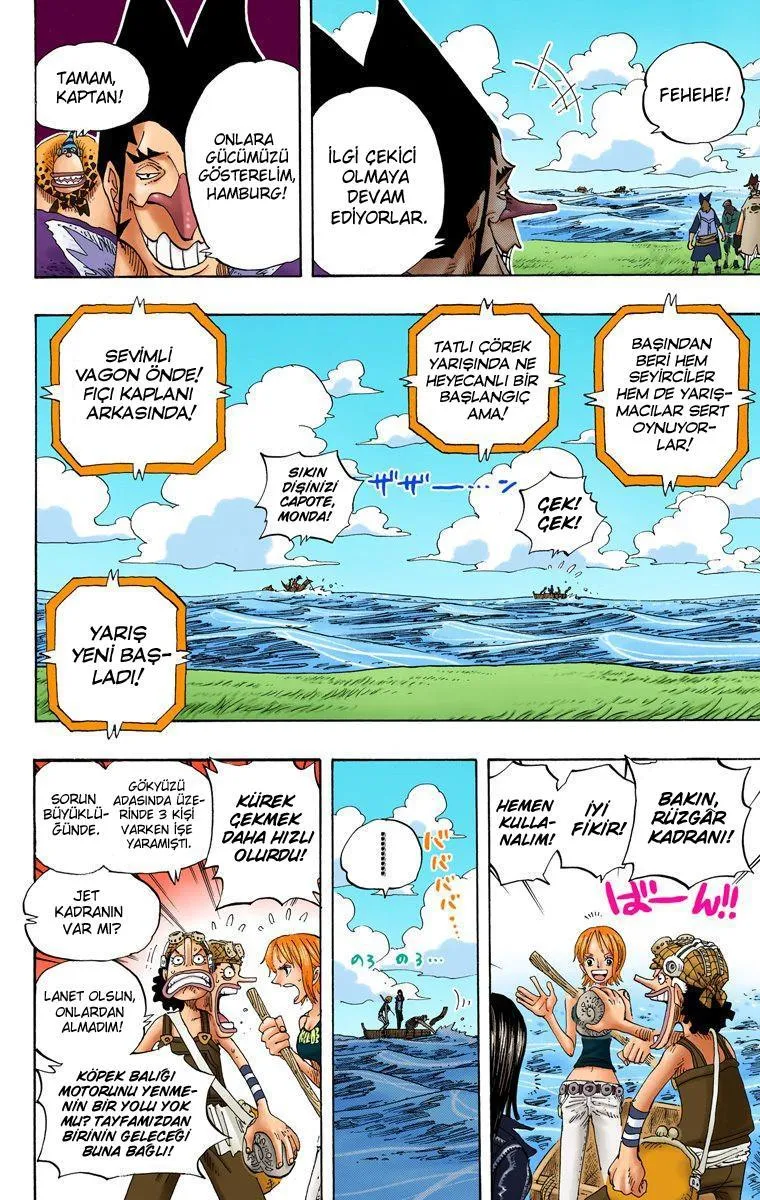 One Piece [Renkli] - Sayfa 13