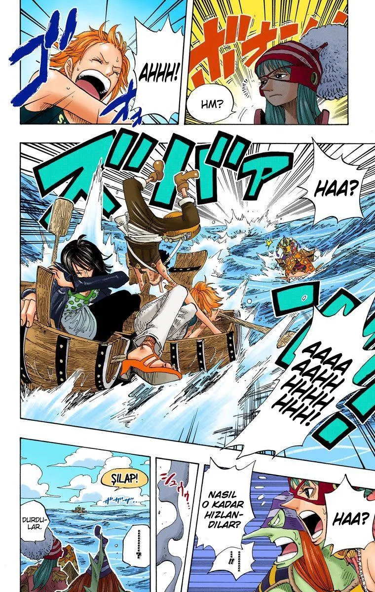 One Piece [Renkli] - Sayfa 15