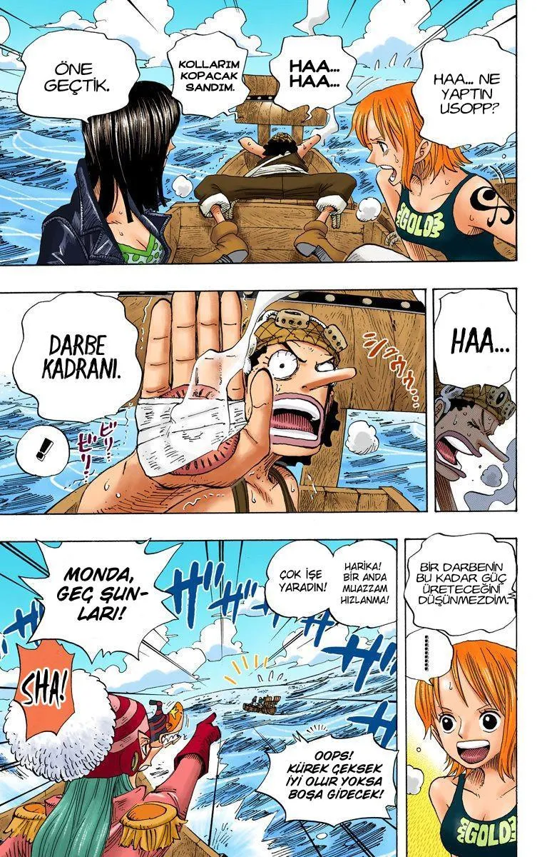 One Piece [Renkli] - Sayfa 16