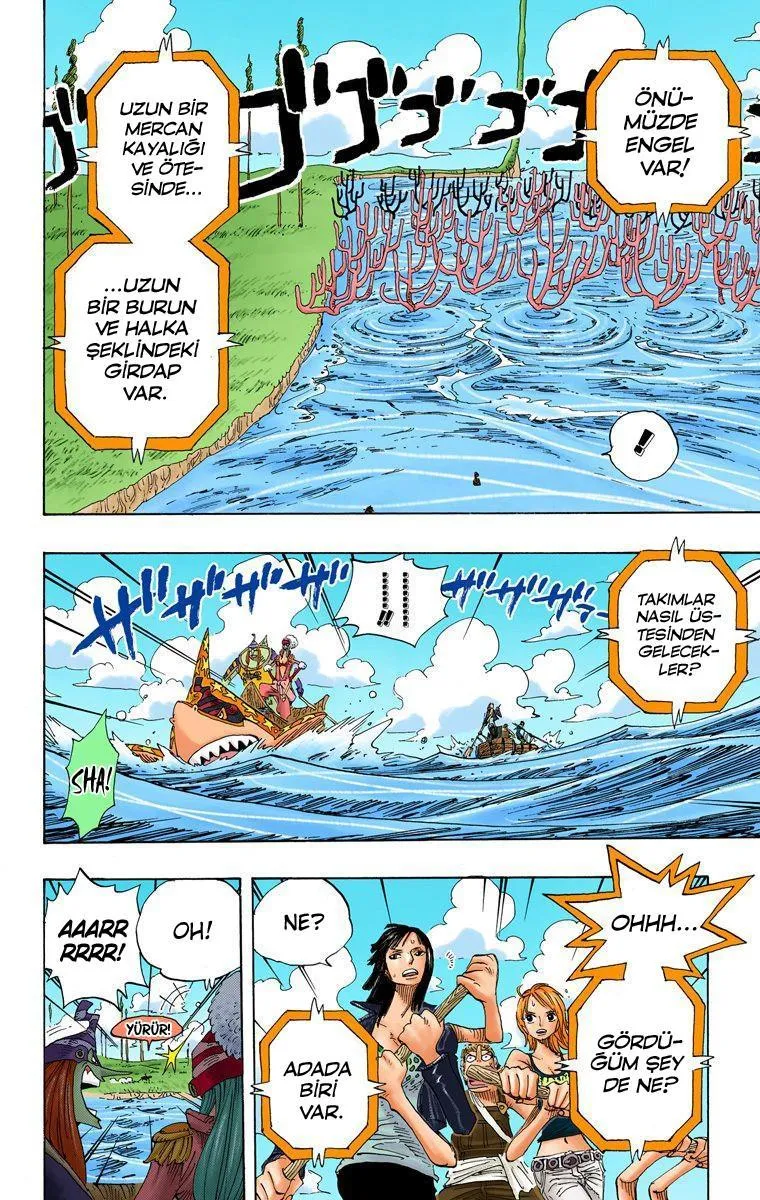 One Piece [Renkli] - Sayfa 19