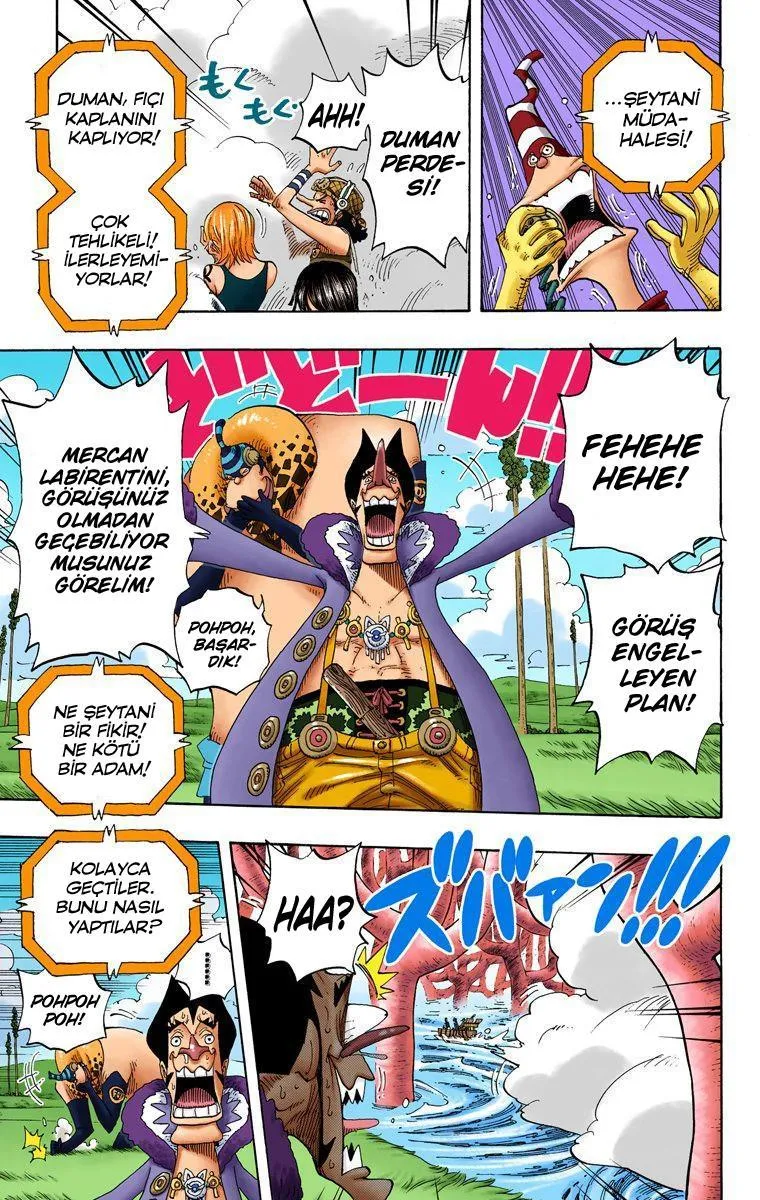 One Piece [Renkli] - Sayfa 8