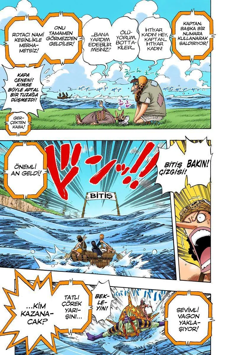 One Piece [Renkli] - Sayfa 14