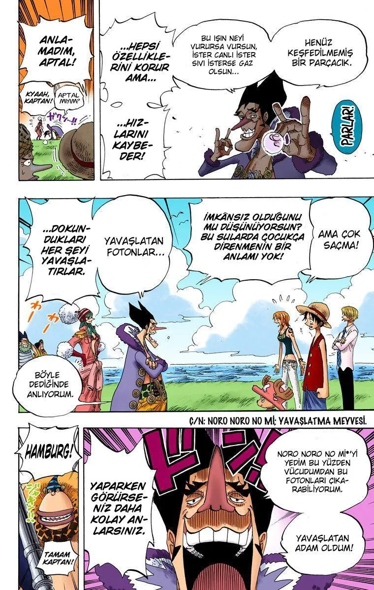 One Piece [Renkli] - Sayfa 6