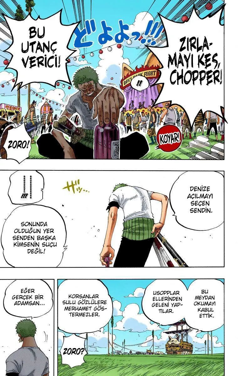 One Piece [Renkli] - Sayfa 13