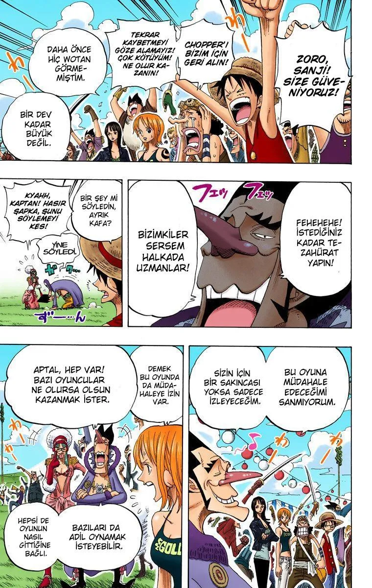One Piece [Renkli] - Sayfa 5