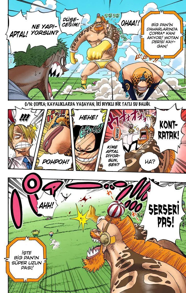 One Piece [Renkli] - Sayfa 12