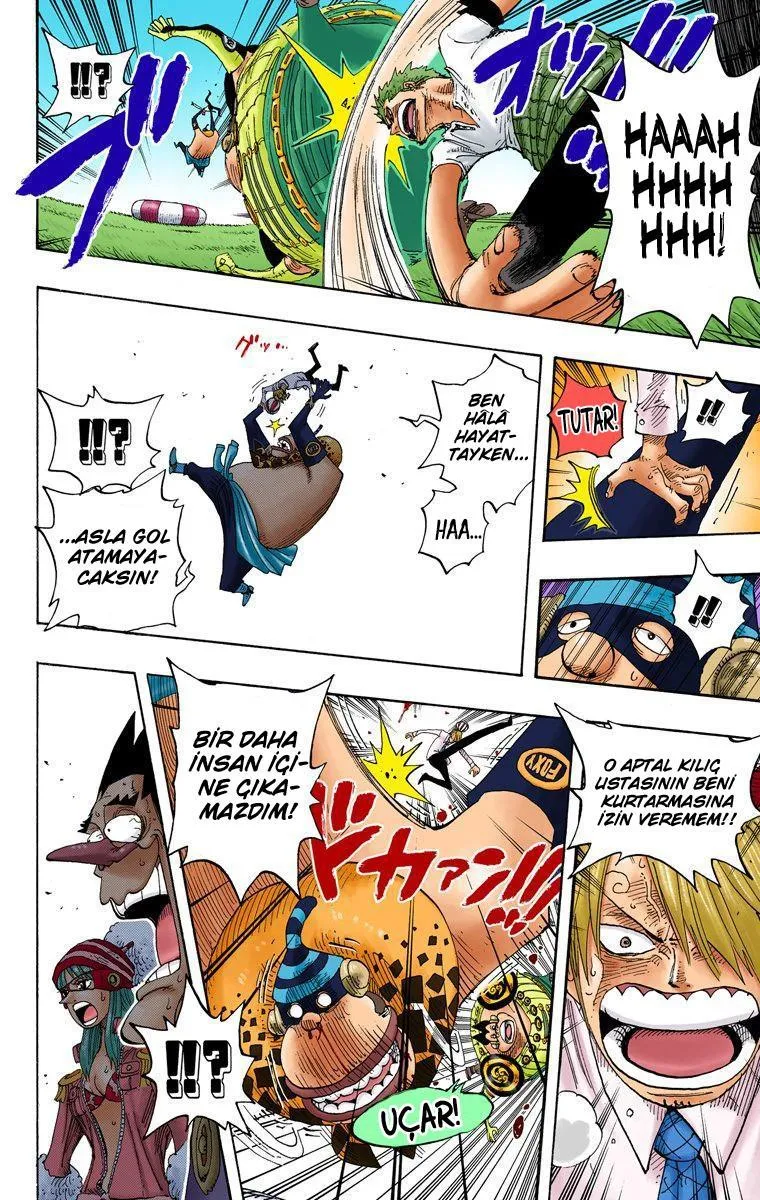 One Piece [Renkli] - Sayfa 18