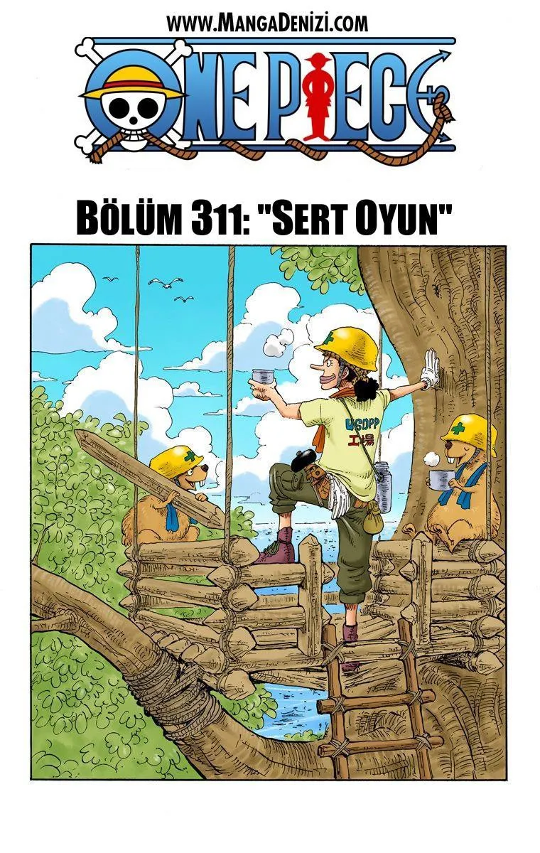 One Piece [Renkli] - Sayfa 2