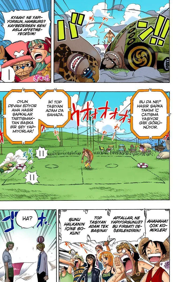 One Piece [Renkli] - Sayfa 4