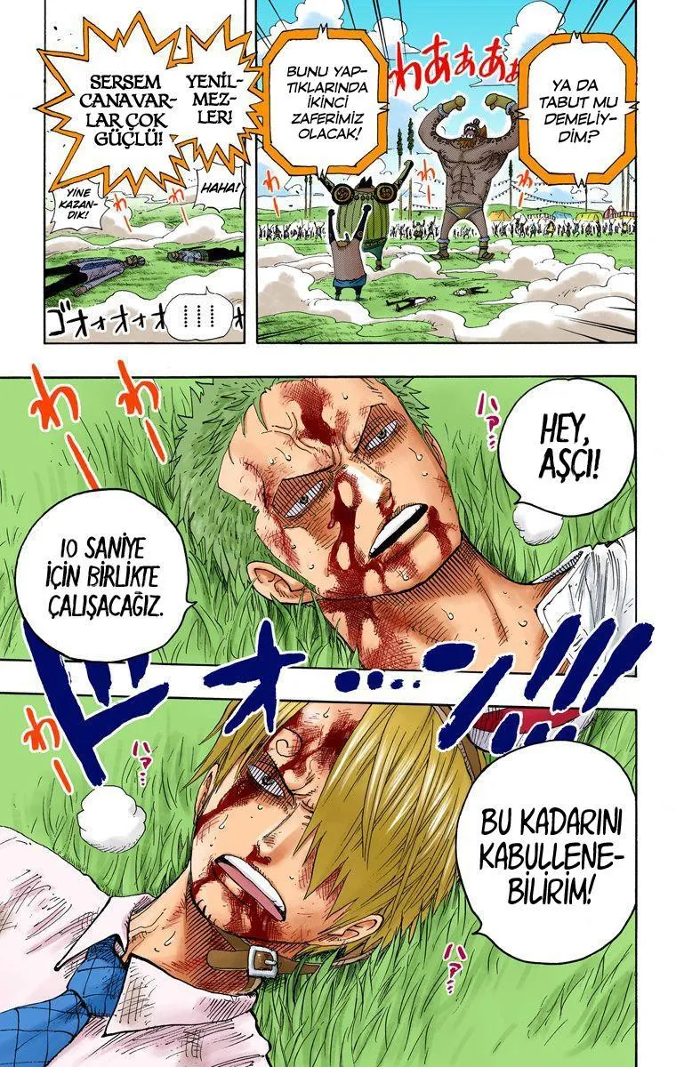 One Piece [Renkli] - Sayfa 20