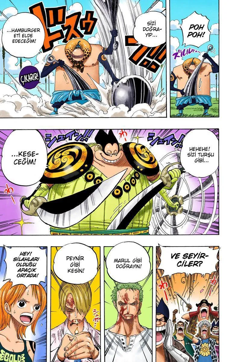 One Piece [Renkli] - Sayfa 6