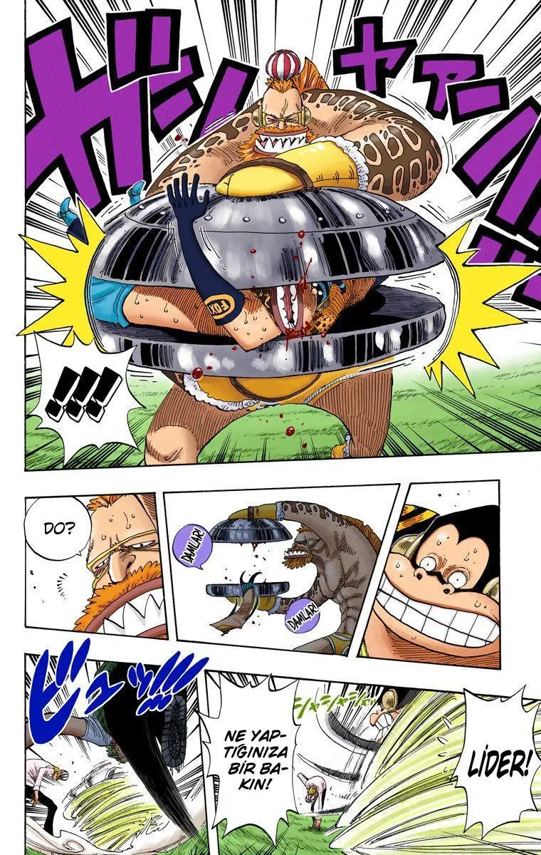 One Piece [Renkli] - Sayfa 11