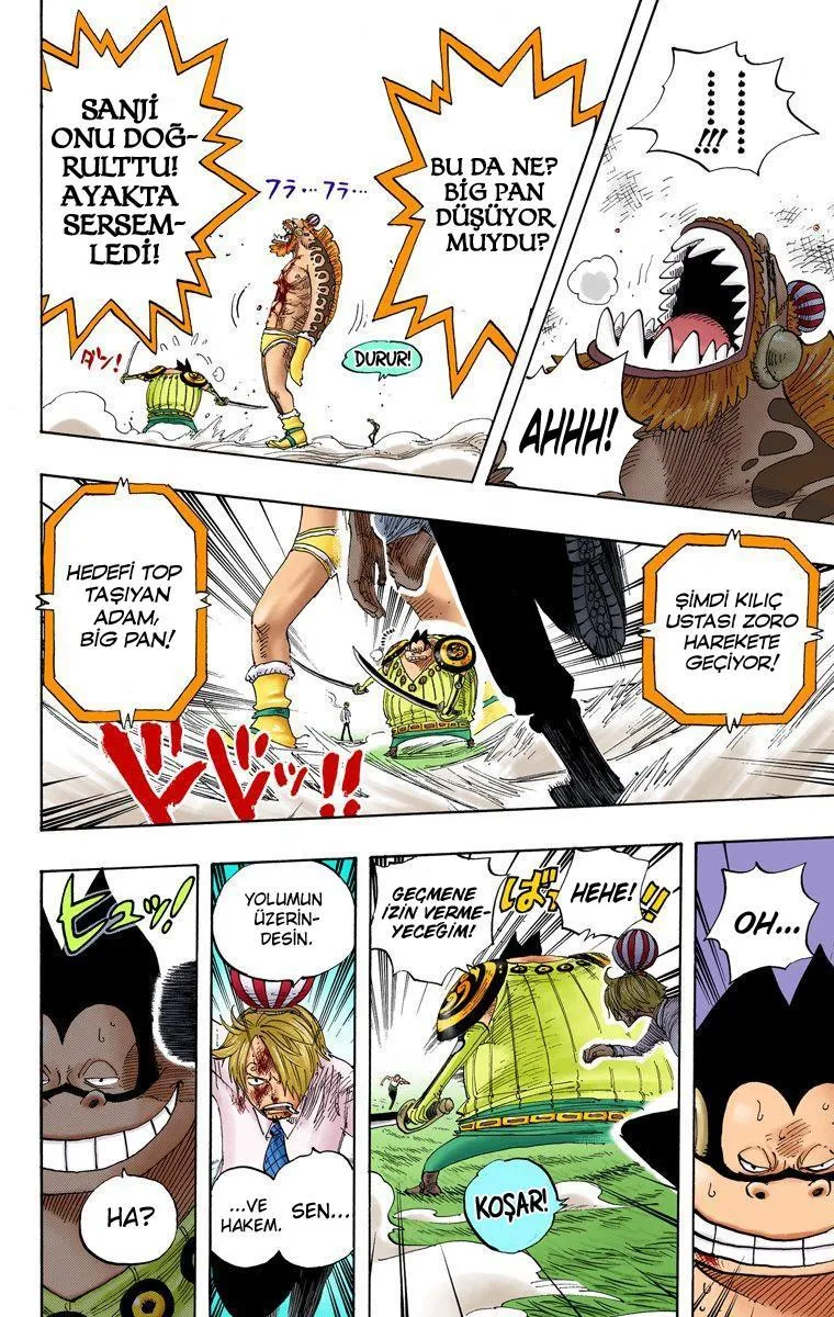 One Piece [Renkli] - Sayfa 15