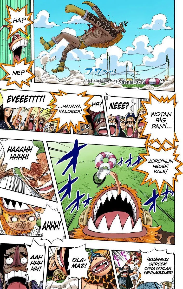 One Piece [Renkli] - Sayfa 18