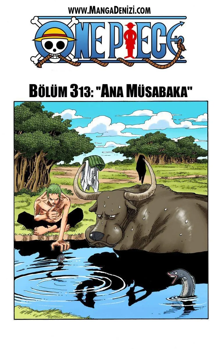 One Piece [Renkli] - Sayfa 2