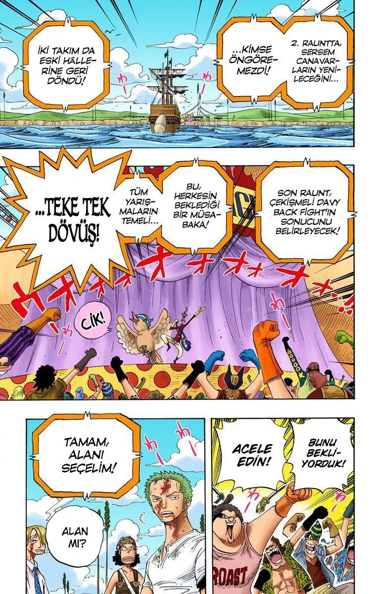 One Piece [Renkli] - Sayfa 12