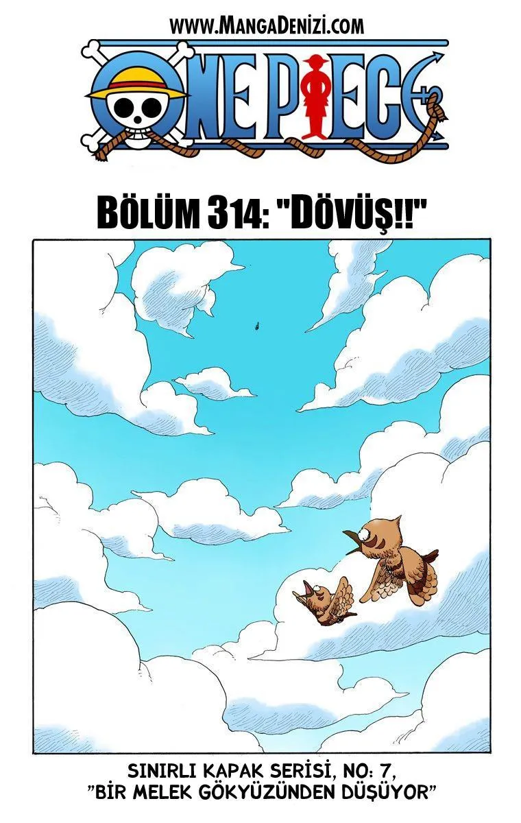 One Piece [Renkli] - Sayfa 2