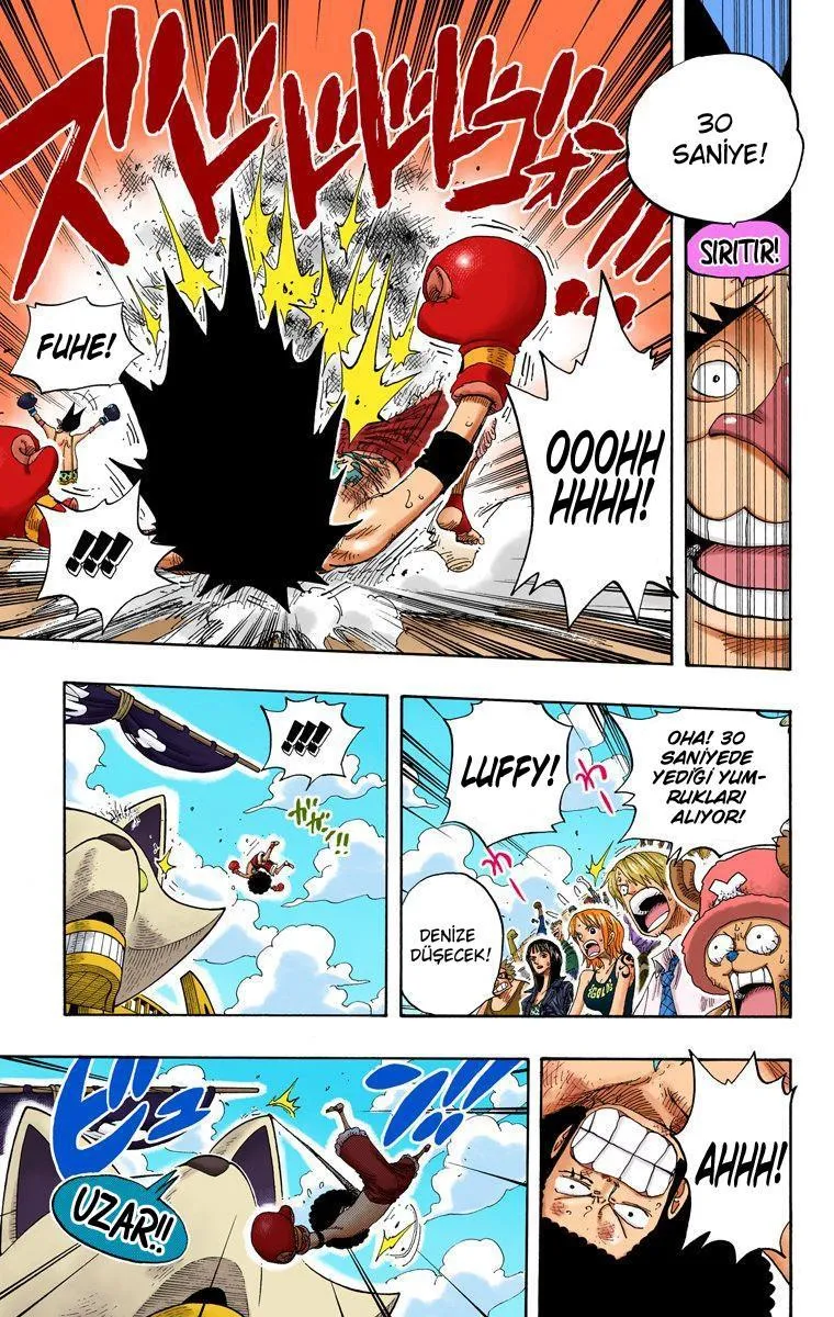 One Piece [Renkli] - Sayfa 14
