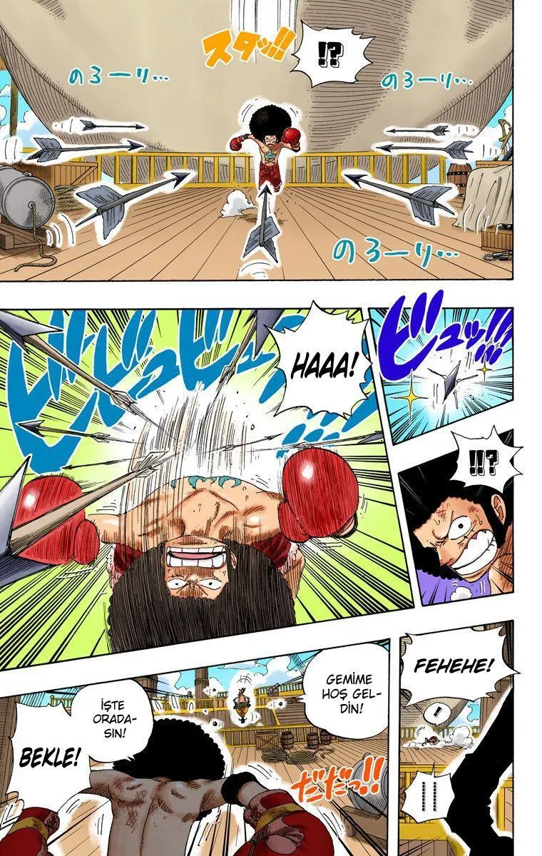 One Piece [Renkli] - Sayfa 16