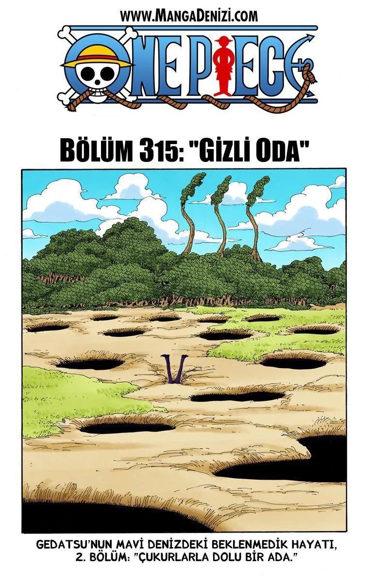 One Piece [Renkli] - Sayfa 2