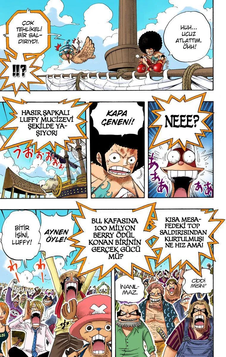 One Piece [Renkli] - Sayfa 4