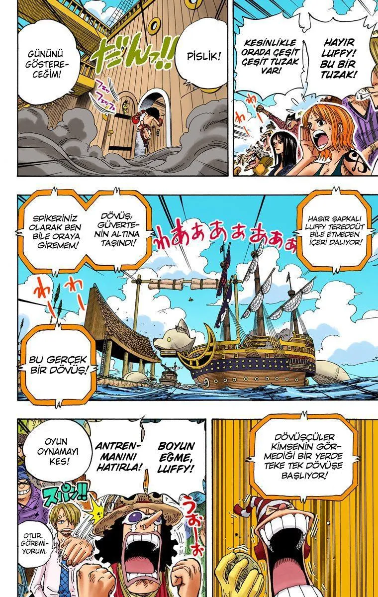 One Piece [Renkli] - Sayfa 13