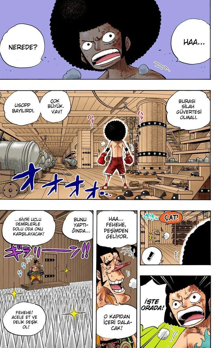One Piece [Renkli] - Sayfa 14