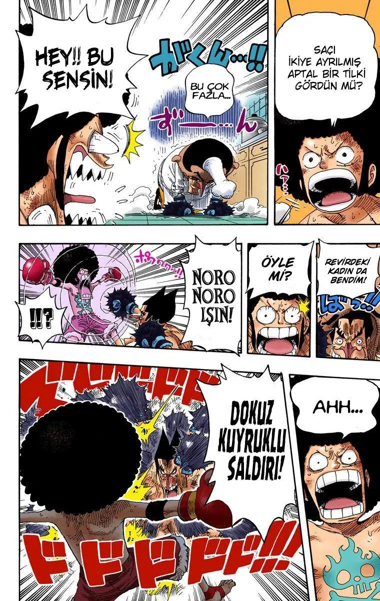 One Piece [Renkli] - Sayfa 19