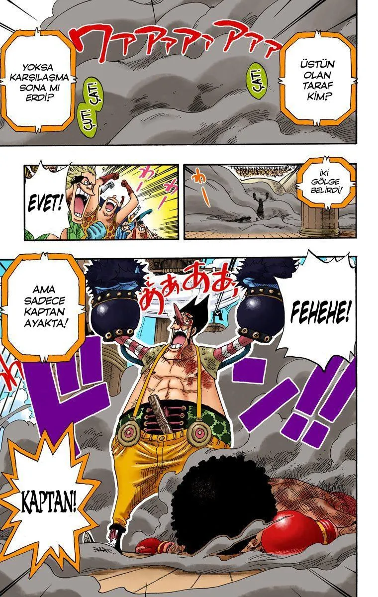 One Piece [Renkli] - Sayfa 14