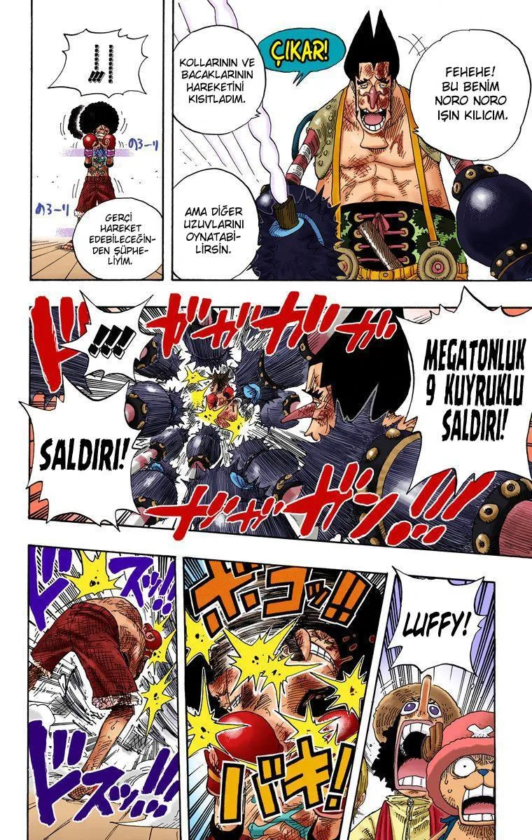 One Piece [Renkli] - Sayfa 17