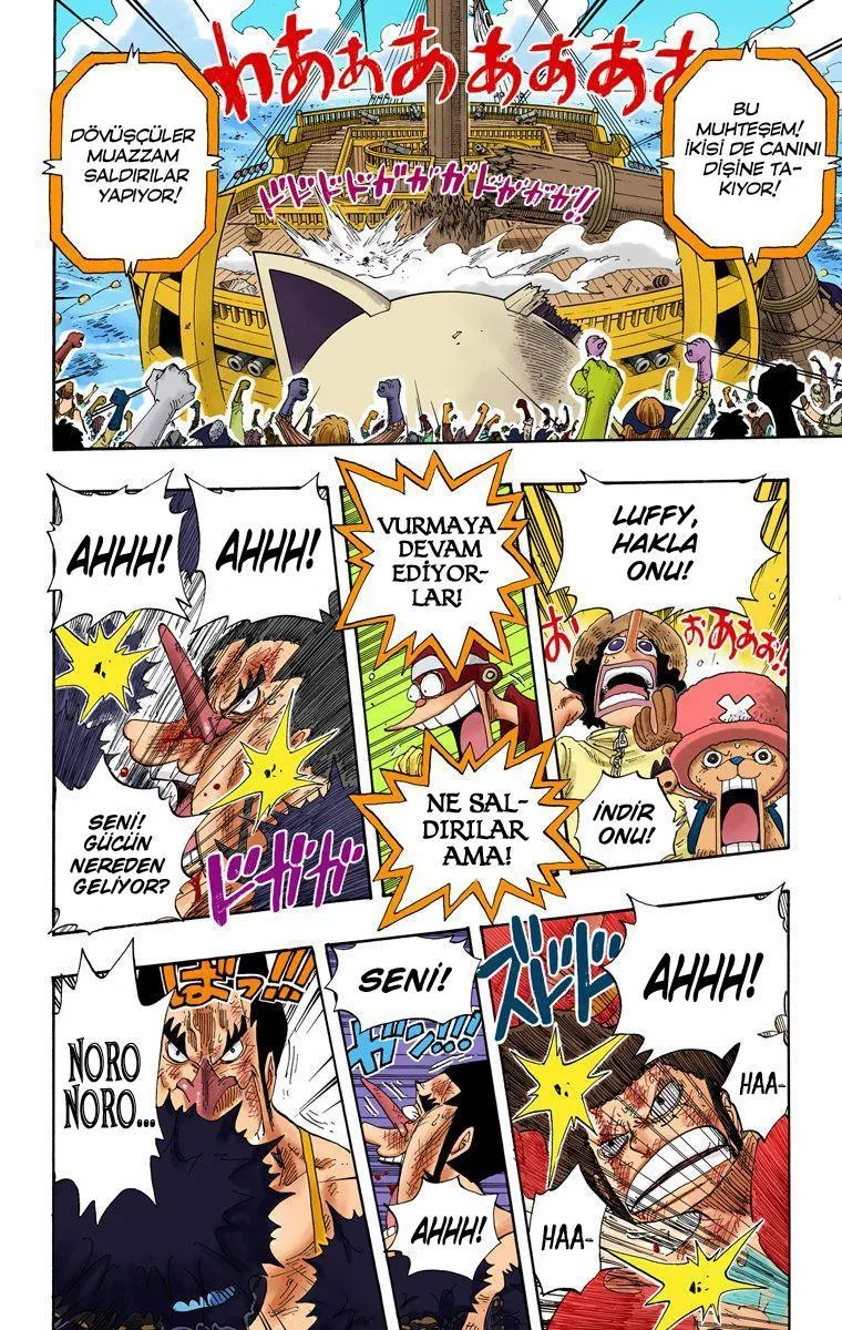 One Piece [Renkli] - Sayfa 14