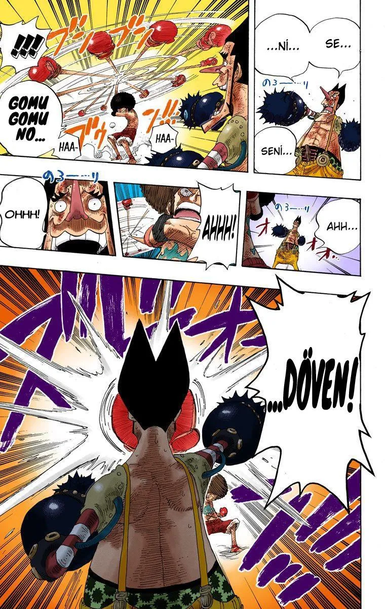 One Piece [Renkli] - Sayfa 17