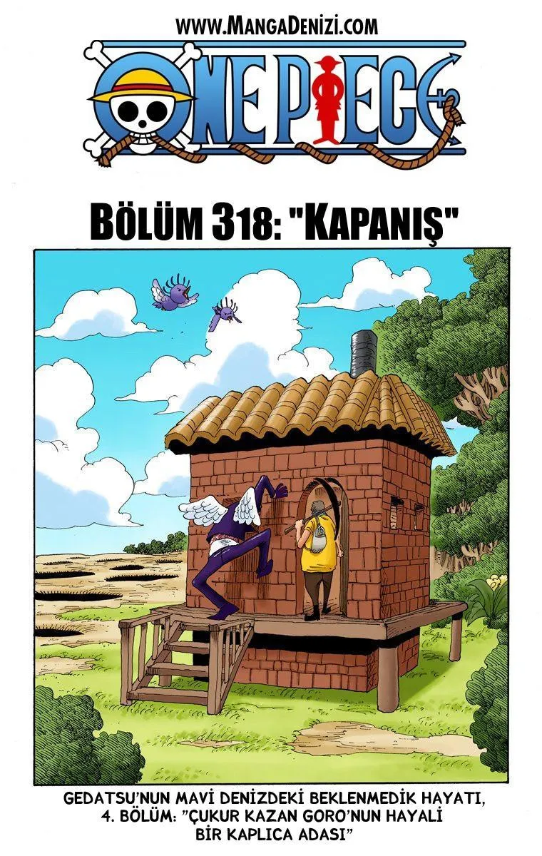 One Piece [Renkli] - Sayfa 2