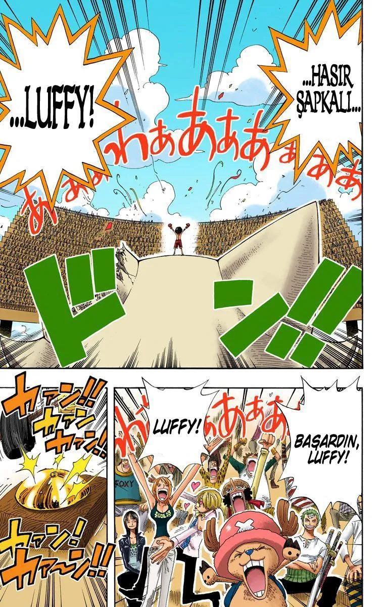 One Piece [Renkli] - Sayfa 6