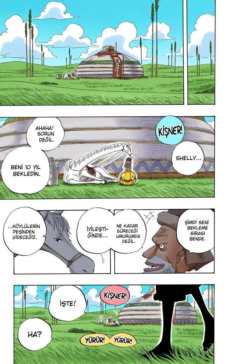 One Piece [Renkli] - Sayfa 16