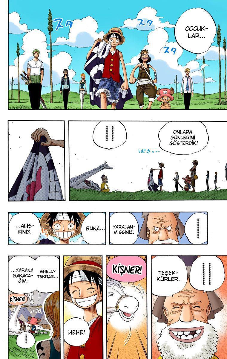 One Piece [Renkli] mangasının 0318 bölümünün 17. sayfasını okuyorsunuz.