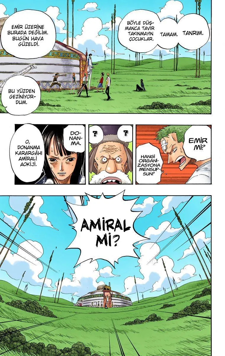 One Piece [Renkli] - Sayfa 4