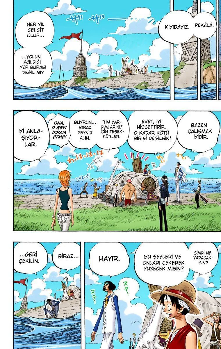 One Piece [Renkli] - Sayfa 11